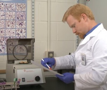 Клиника лечения наркозависимости в Петергофе Врач в кабинете клиники